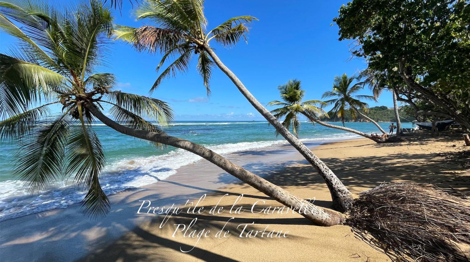 Les Bungalows De La Plage La Trinite Bagian luar foto